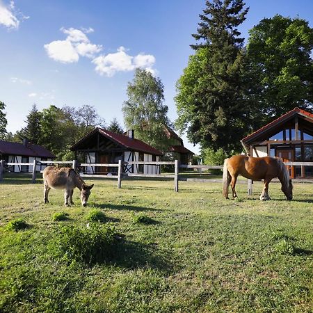Pferdehof Schorfheide Villa Екстериор снимка
